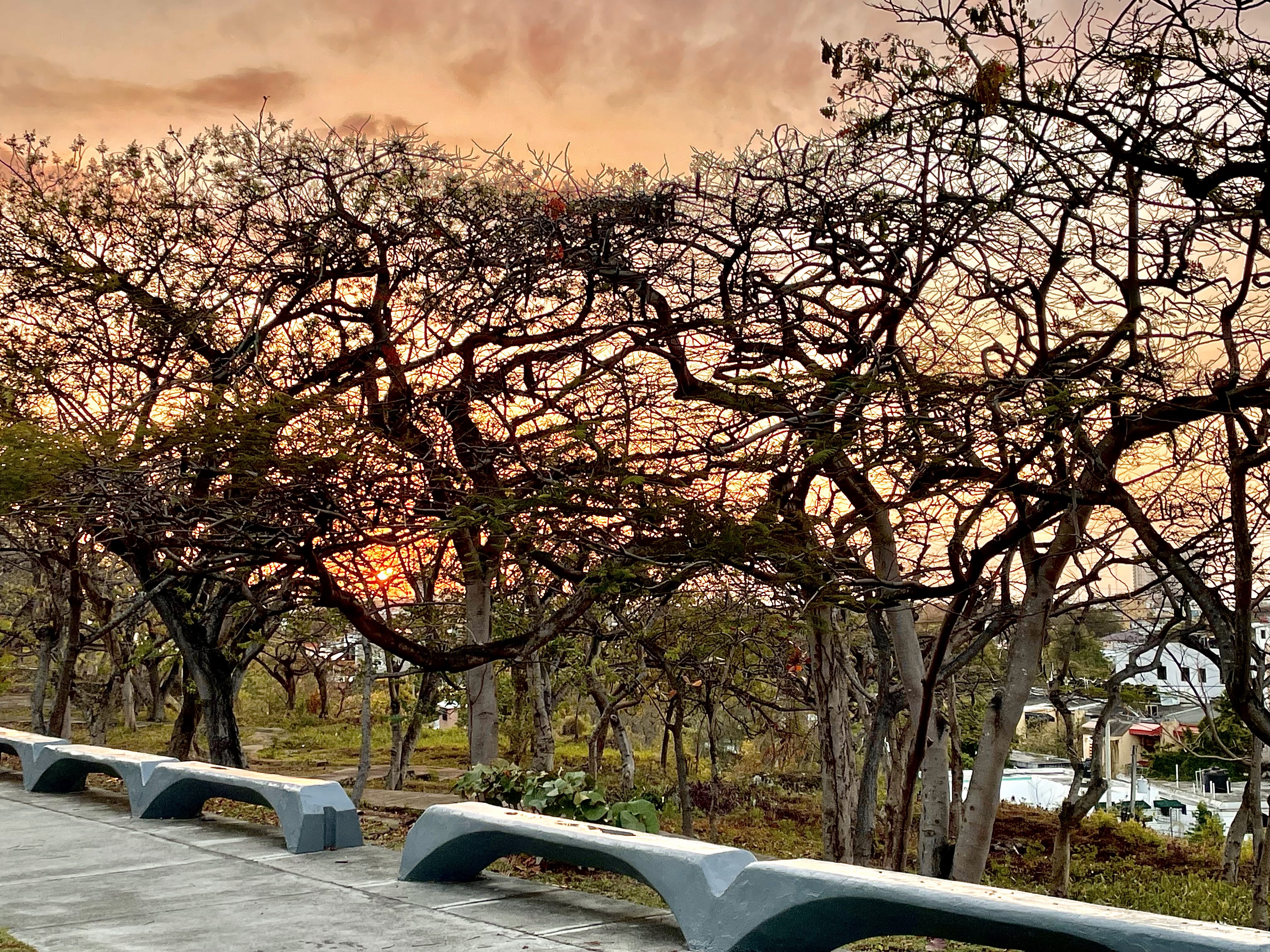Paisaje del parque